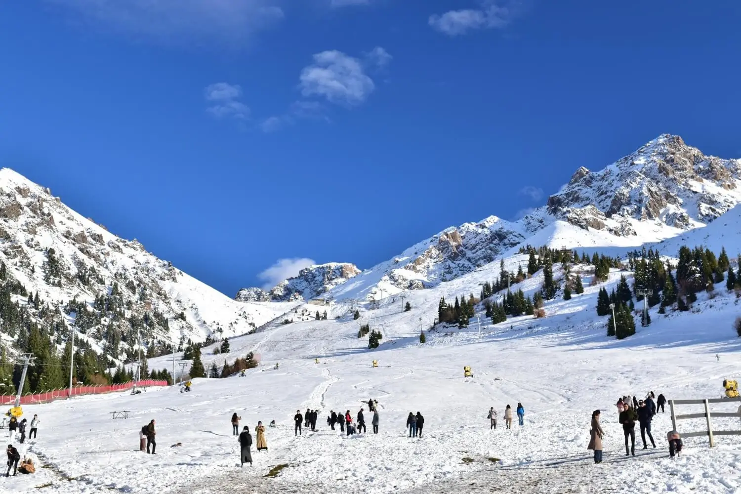 Experience the Thrill of Skiing